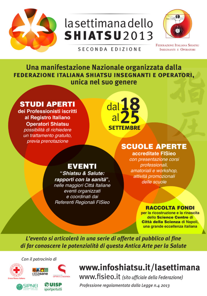 Locandina 2013