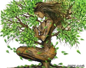 albero_della_vita_0